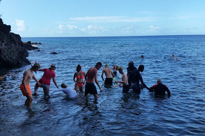 Shoreside Fun-Day with Titou Gorge, Hot Springs & Champagne Reef - Trafalgar Falls and the short rainforest walk