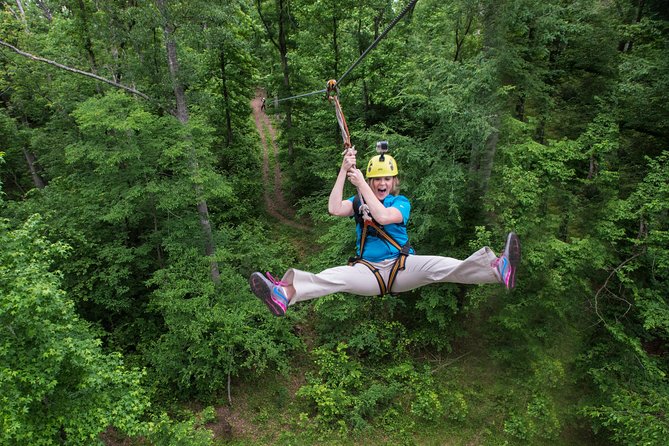 Small-Group Zipline Tour in Hot Springs - Ten ziplines through an old-growth forest