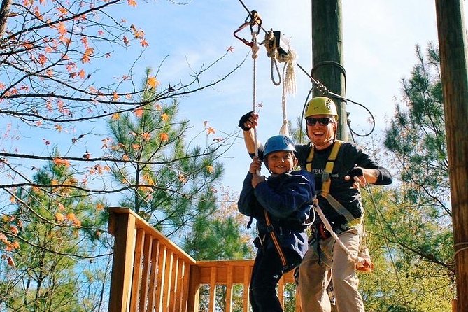 Small-Group Zipline Tour in Hot Springs - Booking flexibility and timing