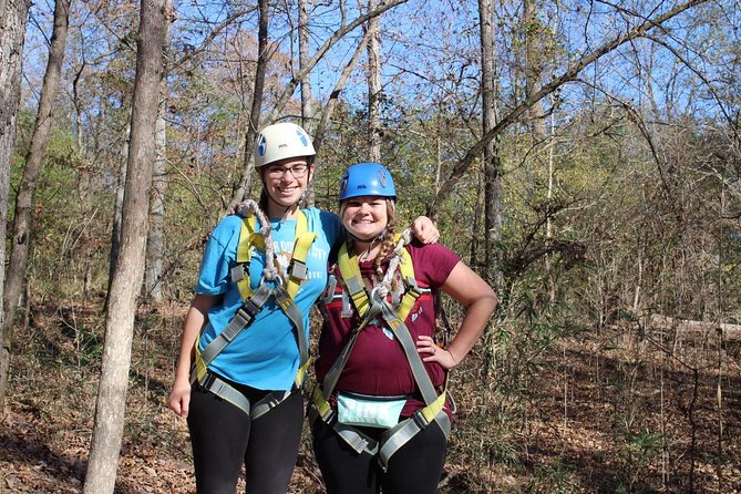 Small-Group Zipline Tour in Hot Springs - What the 90-minute route feels like
