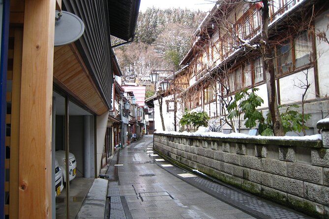 Snow Monkey & Shibu Onsen Afternoon Tour (Depart: Iiyama & Nozwa) - Watching the macaques in their mountain park