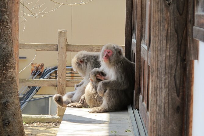Snow Monkey & Shibu Onsen Afternoon Tour (Depart: Iiyama & Nozwa) - Shibu Onsen, a short walk through an old hot spring town