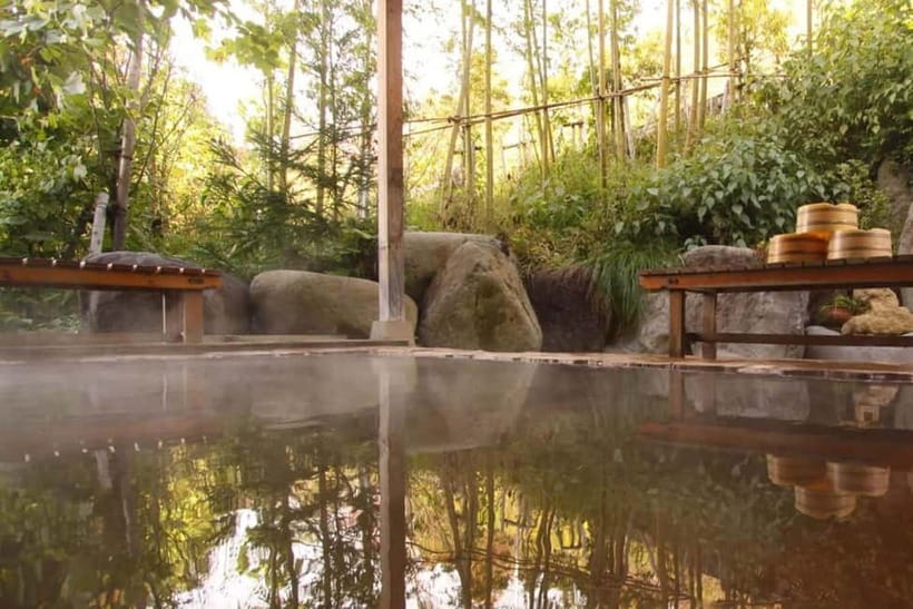 Snow Monkeys & Ghibli Onsen Town with Free Time to Explore - Is $191 a fair price?