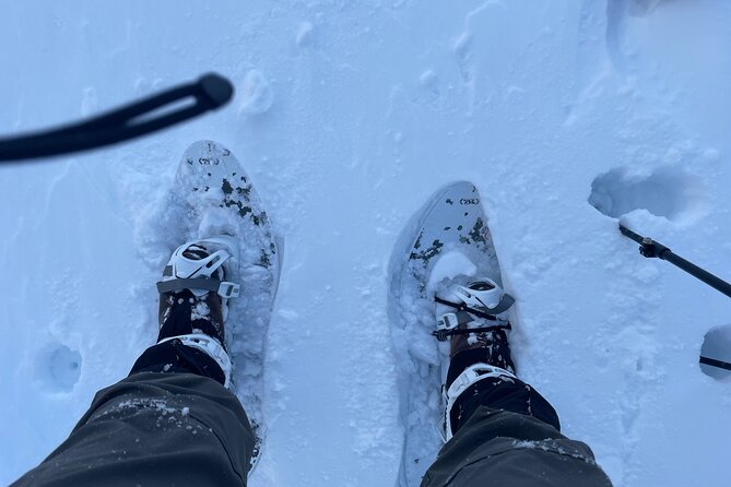 Snowshoeing and Onsen Adventures in a Winter Wonderland -Sapporo. - Leaving Sapporo through Makomanai