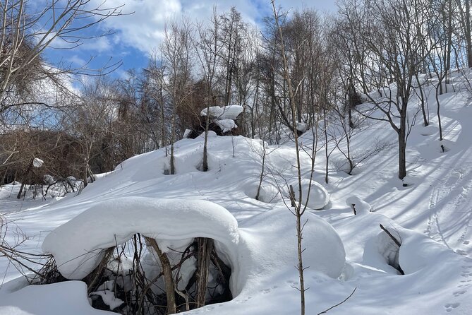 Snowshoeing and Onsen Adventures in a Winter Wonderland -Sapporo. - Lunch in a very cold dining room