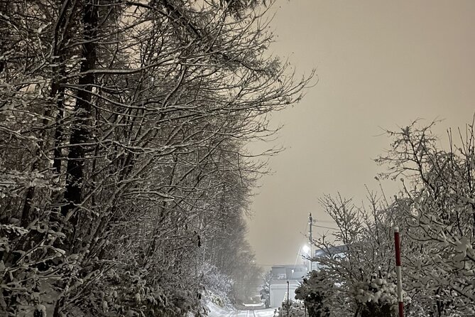 Snowshoeing and Onsen Adventures in a Winter Wonderland -Sapporo. - What the price includes at $224.02