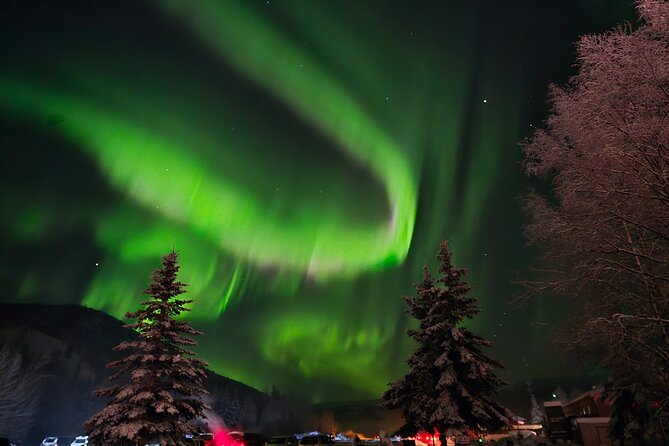 Spectacular Chena Hot Springs Northern Lights Experience - Who will enjoy this tour most?