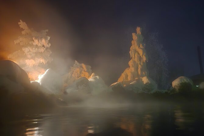 Spectacular Hot Spring Experience with Northern Lights - Dinner at the lodge, with a little planning