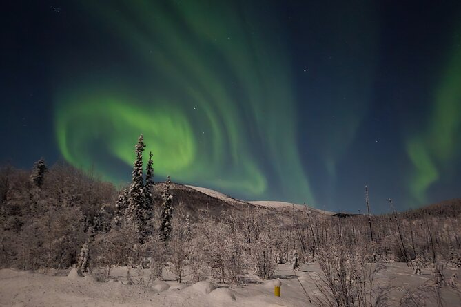 Spectacular Hot Spring Experience with Northern Lights - The 1.5-hour drive from Fairbanks