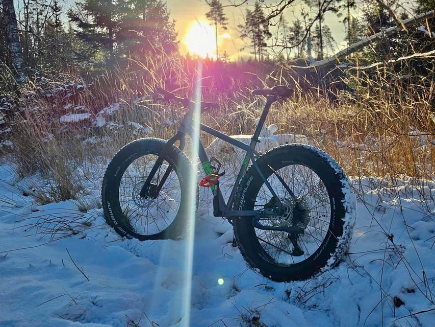 Stockholm: Fat Bike Forest Adventure with Lunch and Sauna - Two to three hours on forest trails