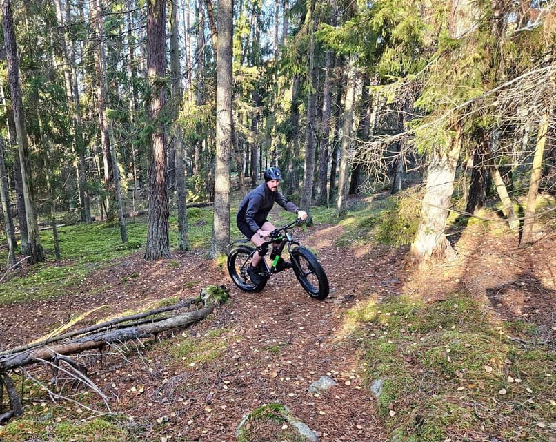 Stockholm: Fat Bike Forest Adventure with Lunch and Sauna - Sauna, shower, and a hot forest-café lunch
