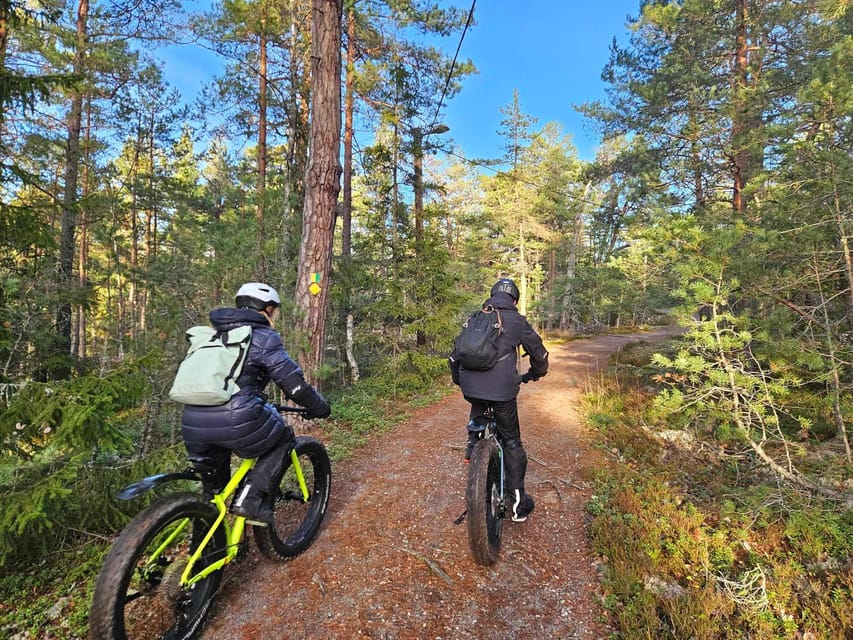 Stockholm: Fat Bike Forest Adventure with Lunch and Sauna - What the $138 price buys you