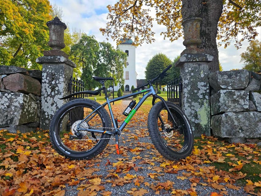 Stockholm: Fat Bike Forest Adventure with Lunch and Sauna - Practical choices before you book