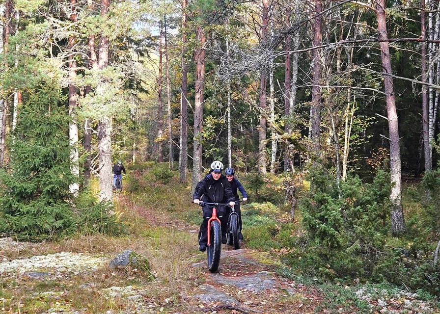 Stockholm: Fat Bike Forest Adventure with Lunch and Sauna - Should you book the forest fat bike tour?