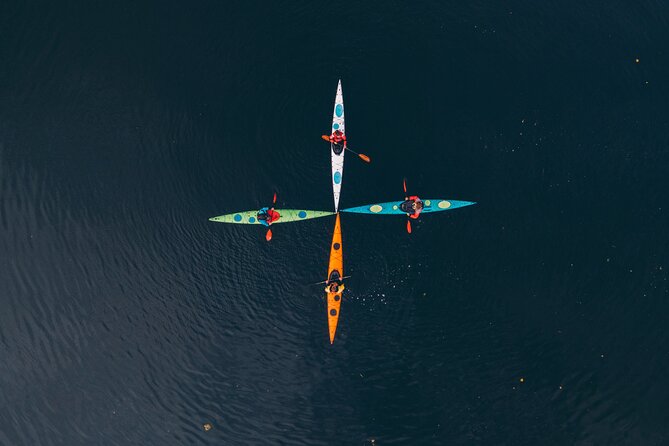 Stockholm: Winter Kayaking, Swedish Fika and hot Sauna Experience - Why winter kayaking works in Stockholm