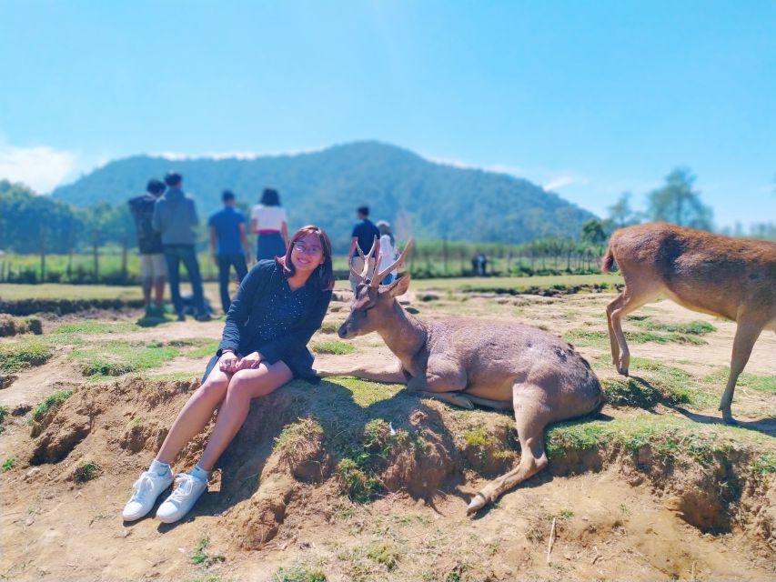 Sunrise Sunan Ibu,Kawah Putih,Volcano,Tea factory,Hot spring - Ranca Upas and the deer conservation center