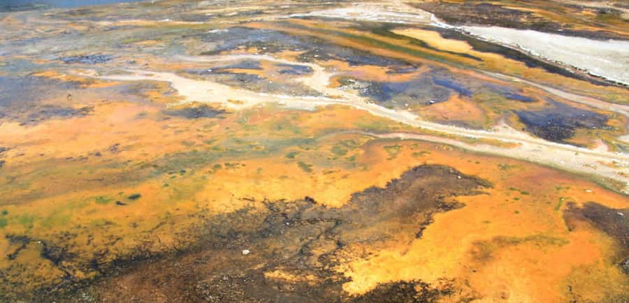 Taupo: Orakei Korako Geothermal Park and Cave Entry Ticket - Practical details that make the visit smoother
