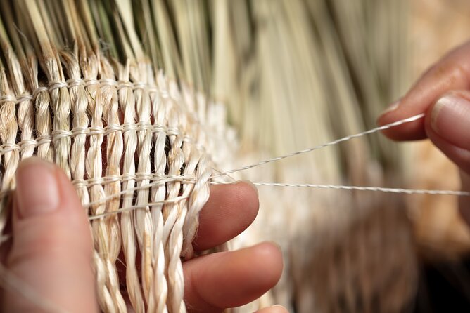 Te Puia Geothermal, Kiwi and Māori Art - The Kiwi Conservation Centre offers a close look at New Zealand’s national bird