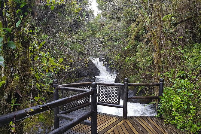 Termas de Papallacta Hot Springs full day tour from Quito - Why Papallacta makes a good break from Quito