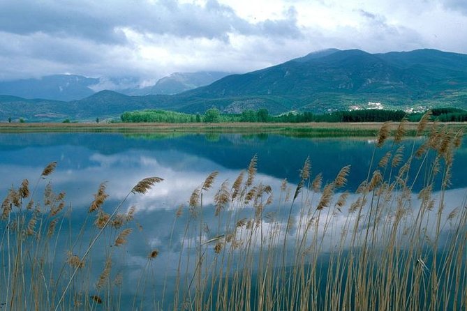 Thessaloniki to Edessa & Pozar Thermal Spa- Private Day Trip - Pozar Thermal Baths and the 37°C outdoor pool