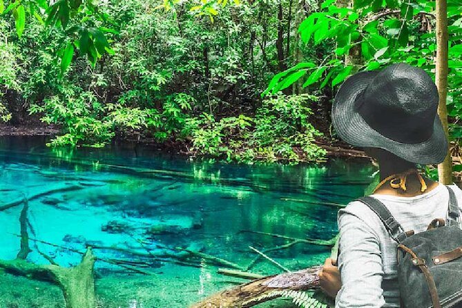 Tiger Cave Temple, Emerald Pool & Hot Springs Tour from Krabi - Key points to know before booking