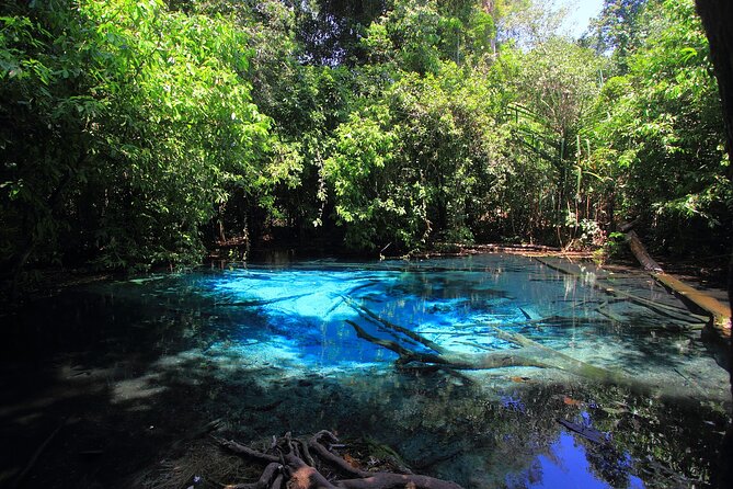 Tiger Cave Temple, Emerald Pool & Hot Springs Tour from Krabi - Emerald Pool and Blue Lagoon: start with the water