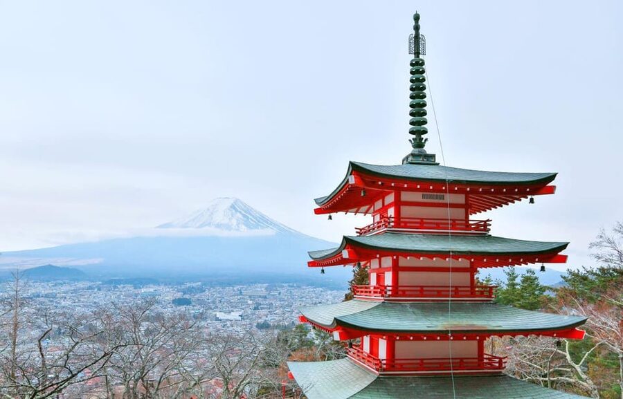 Tokyo: 2-Day Mt. Fuji, Kamakura and Izu Hot Springs Tour - Key points to know before booking
