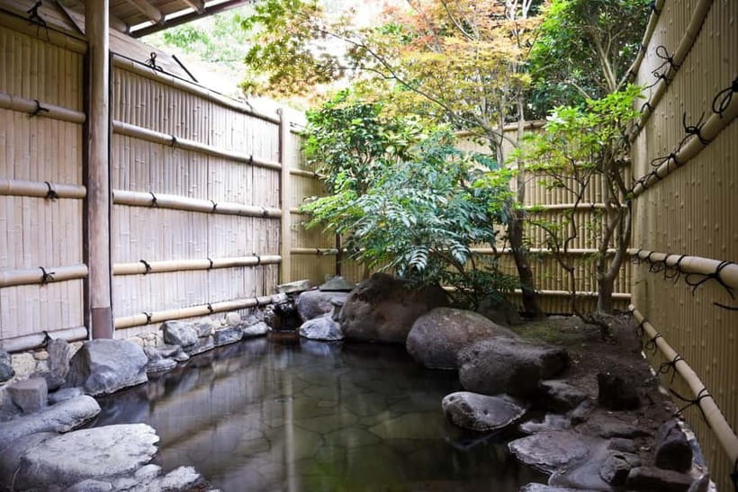 Tokyo: Japanese Spa & Sento Experience with Local - Getting into the natural hot baths