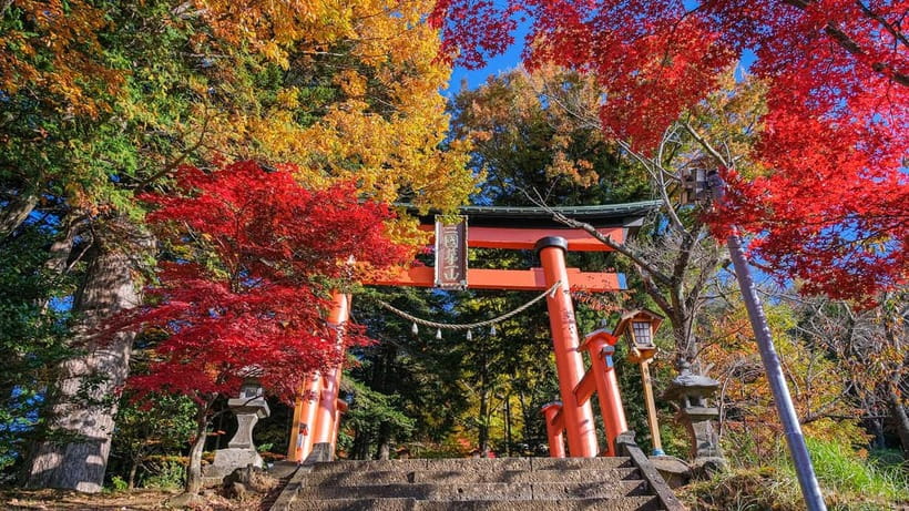Tokyo: Mount Fuji 5th Station & Onsen Day Trip - Gotemba Premium Outlets as the Weekday Alternative