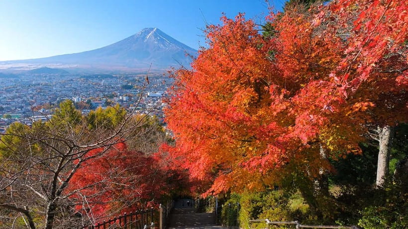 Tokyo: Mount Fuji 5th Station & Onsen Day Trip - Who Will Like This Fuji Day Trip