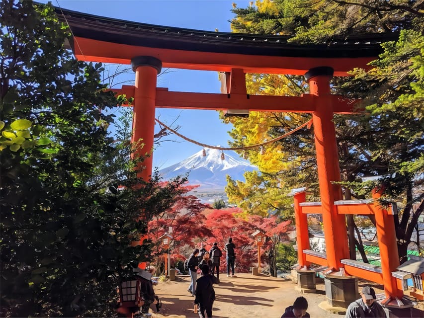 Tokyo: Mt Fuji Lake Kawaguchi & Yamanaka Hot Spring Day Tour - What the transport and guide service really mean