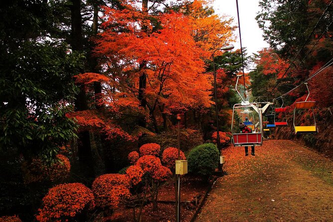 Tokyo: Mt. Takao Tour with Ramen and Tattoo-Okay Hot Spring - Key points to know before booking