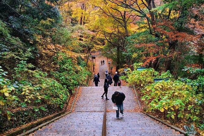 Tokyo: Mt. Takao Tour with Ramen and Tattoo-Okay Hot Spring - Visiting Monkey Park and the Wild Grass Garden