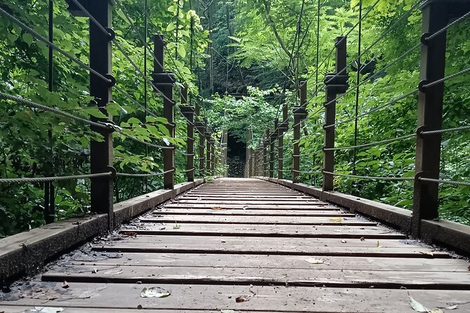 Tokyo: Mt. Takao Tour with Ramen and Tattoo-Okay Hot Spring - Walking through Yakuo-in Temple