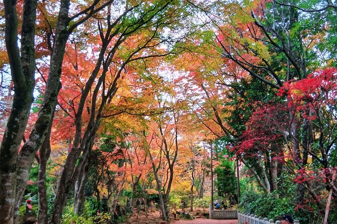 Tokyo: Mt Takao Tour with Ramen and Tattoo-Okay Hot Spring - Riding up before the mountain walk