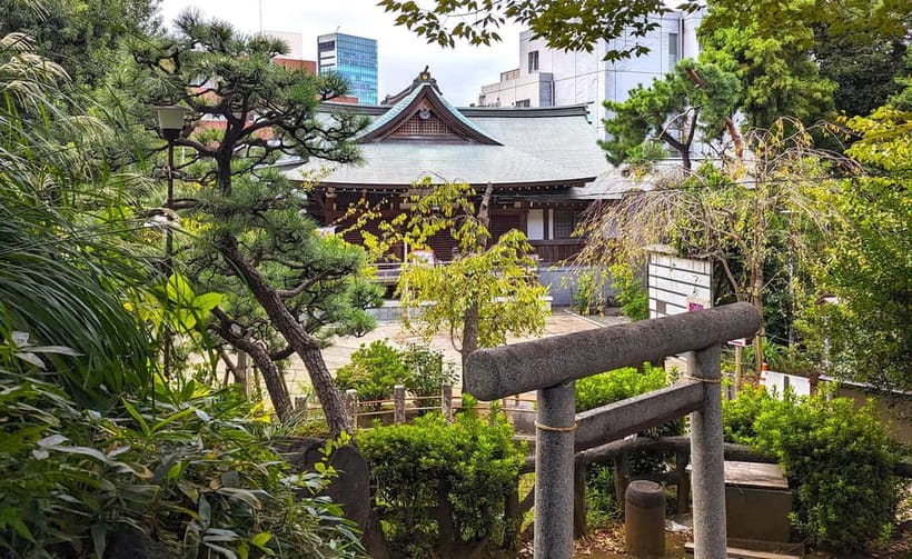 Tokyo: Private Morning Run with Sento Bath Experience - Harajuku and Aoyama beyond the main streets