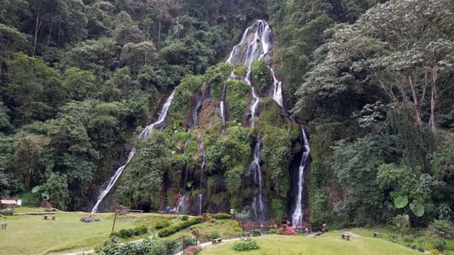 Tour Santa Rosa hot springs from Pereira, Armenia or Salento - The waterfall adds a second reason to visit