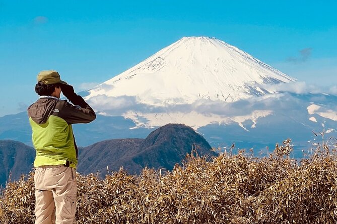 Traverse Outer Rim of Hakone Caldera and Enjoy Onsen Hiking Tour - A demanding walk along Hakone’s outer rim