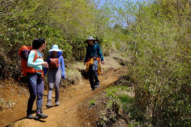 Traverse Outer Rim of Hakone Caldera and Enjoy Onsen Hiking Tour - Fog, clouds, and the Mt Fuji question
