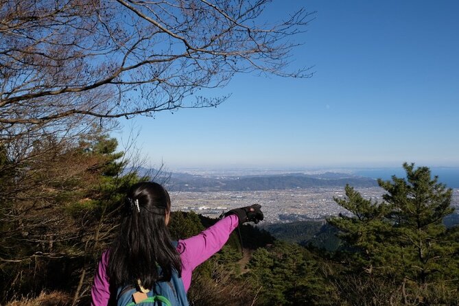 Traverse Outer Rim of Hakone Caldera and Enjoy Onsen Hiking Tour - Local lunch near Togendai