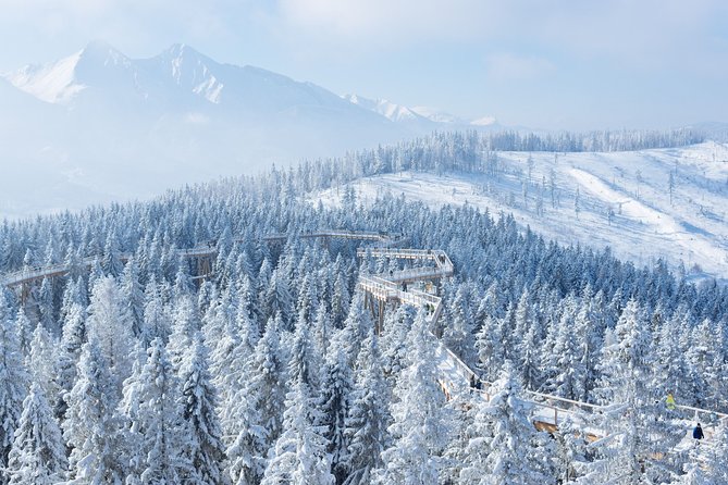 Treetop Walk in Slovakia and Thermal Baths from Krakow - The ride, driver, and amount of guiding