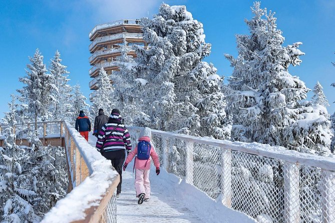 Treetop Walk in Slovakia and Thermal Baths from Krakow - Three hours at Chocholowskie Termy