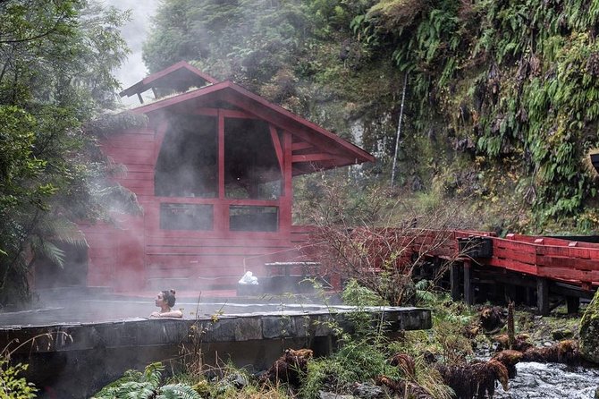 Trekking Mirador el volcano + Geometric hot springs - From Pucón to Villarrica’s southern side