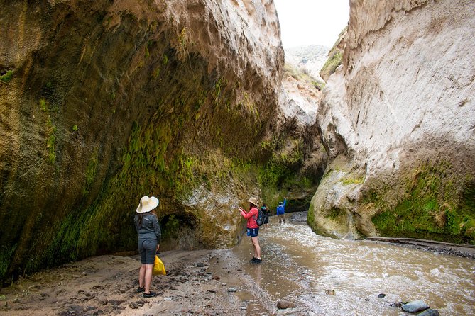 Trekking, Waterfalls and Thermal Baths - Is $62 a fair price?