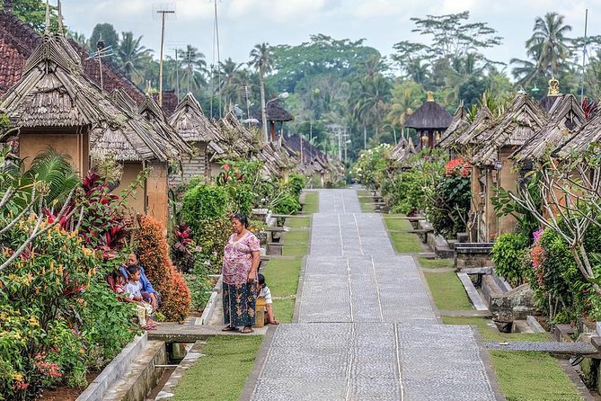 Trunyan Cemetery, Hot Spring, Penglipuran Village, and Waterfall Tour - What the private format adds