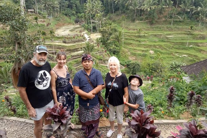 Ubud Hot Springs and Waterfall Private Guided Tour - Tampaksiring and a volcano-view lunch