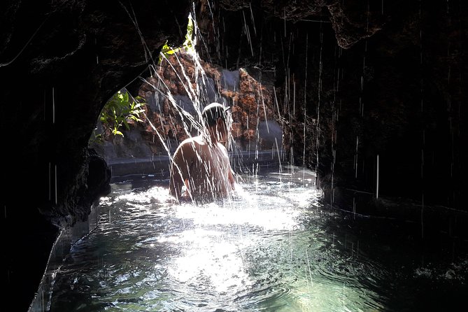 Ubud Hot Springs and Waterfall Private Guided Tour - Monkey Forest: a lively first stop in Ubud