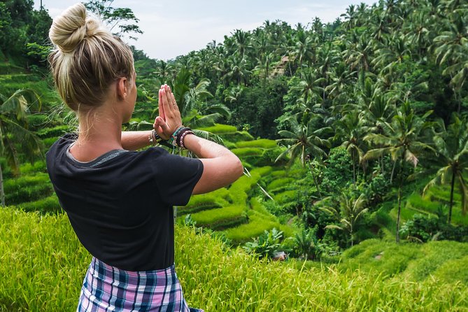 Ubud Volcano Lake and Natural Hot Spring Tour - Tegalalang Rice Terrace: a quick first look