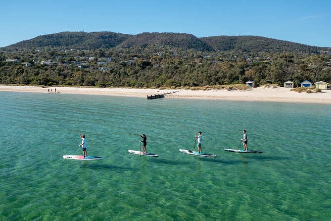 Ultimate Peninsula Adventure: Stand Up Paddle, Hot Springs, Hike, Lunch & Winery - Key points at a glance