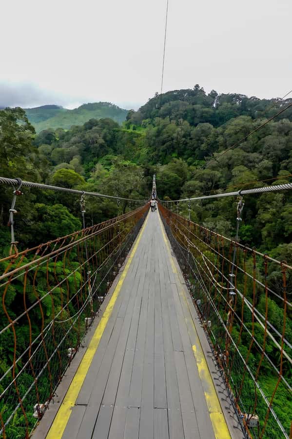 Volcano, Hot Spring, Mud Bath & Tea plantation all included - Rancabali Tea Resort: a short stop with local character